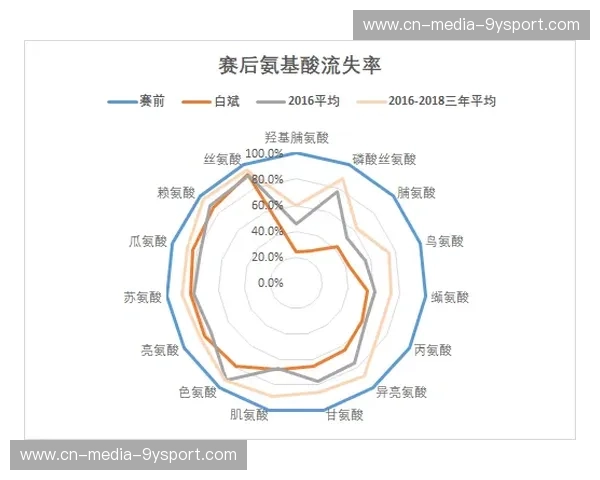 分析攀岩：从技术到心态的全面解读